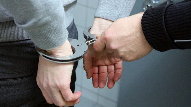 Задержан наркокурьер в одном из участков таможни Ленинградской области
