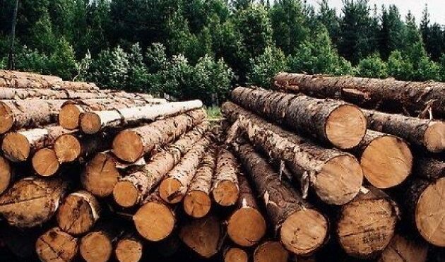 ПРЕДЛОЖЕНИЕ О ЗАПРЕТЕ НА ПОКУПКУ ЛЕСА В СИБИРИ КИТАЕМ