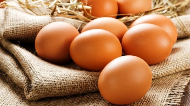 Россельхознадзор отрицает зависимость российского рынка от импортного яиц