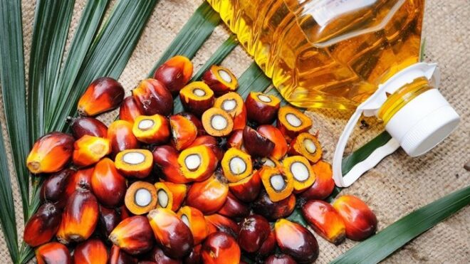 Стоимость пальмового масла выросла до 1091 доллара за тонну