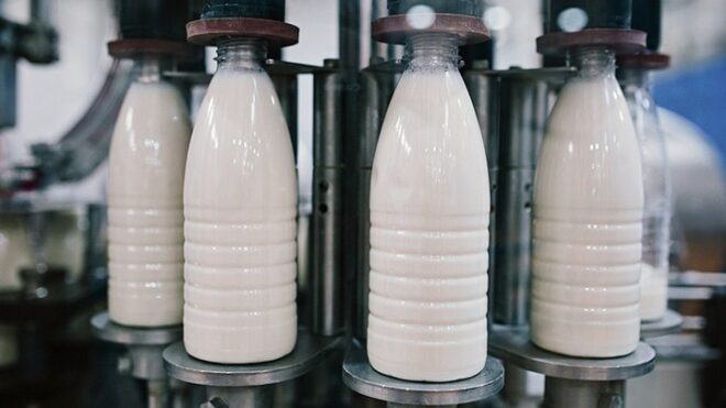 Импортной молочной продукции стало больше