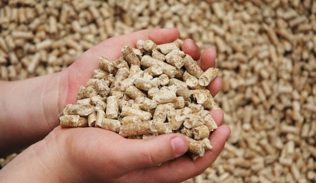 Одобрена поставка кормовых продуктов от 114 иностранных поставщиков