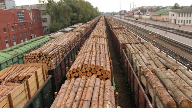 Повышение пошлин на лес как альтернатива запрету экспорта в Китай