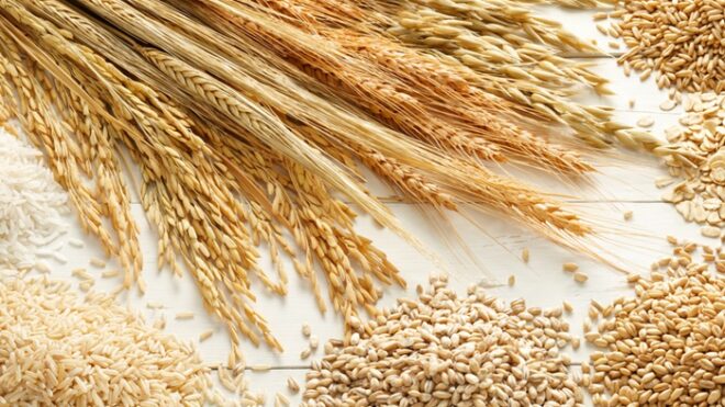Экспорт отечественной продукции АПК одержал уверенную победу над импортом