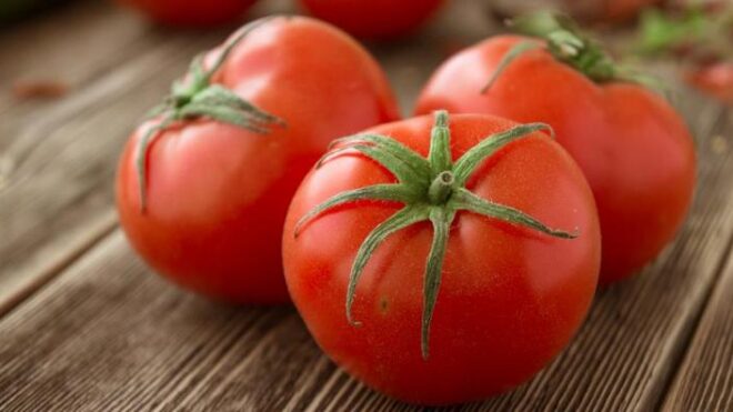 Минсельхоз России и Турция не могут согласовать размер квоты на ввоз томатов