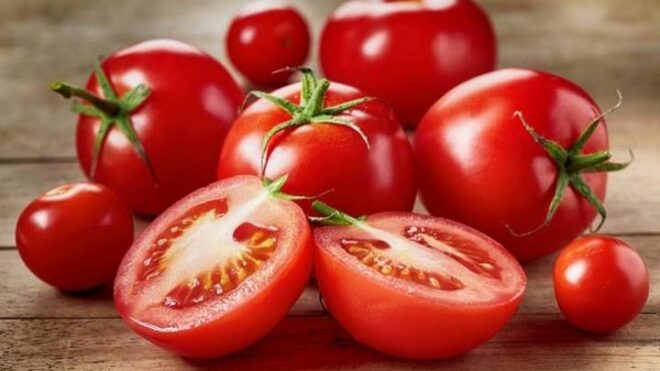 «Зараженные» томаты из Марокко встревожили Россельхознадзор