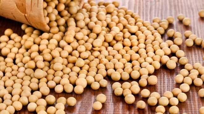 Минсельхоз против усложнения процедур регистрации импортной ГМО-продукции