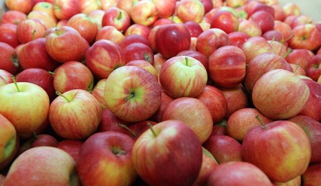 Россия и Азербайджан согласовали поставку помидоров и яблок на российский рынок