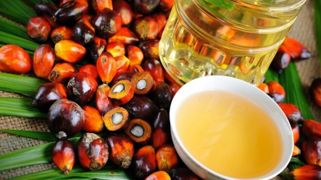 Рост поставок пальмового масла