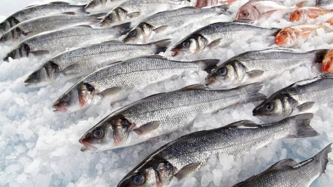 Американские сенаторы предлагают сократить импорт российской рыбы