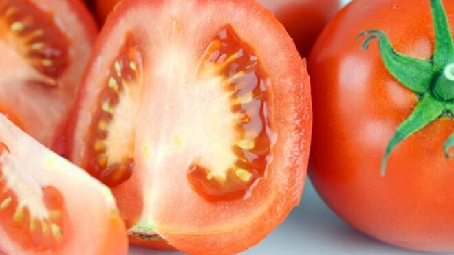 Зараженные семена помидоров больше не попадут в Россию из Израиля
